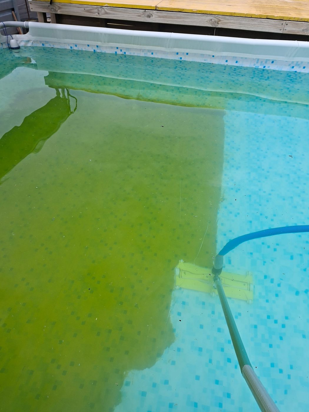 Traitement d'une eau de piscine verte, résultat avant après